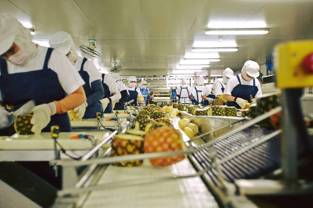 pineapple factory line