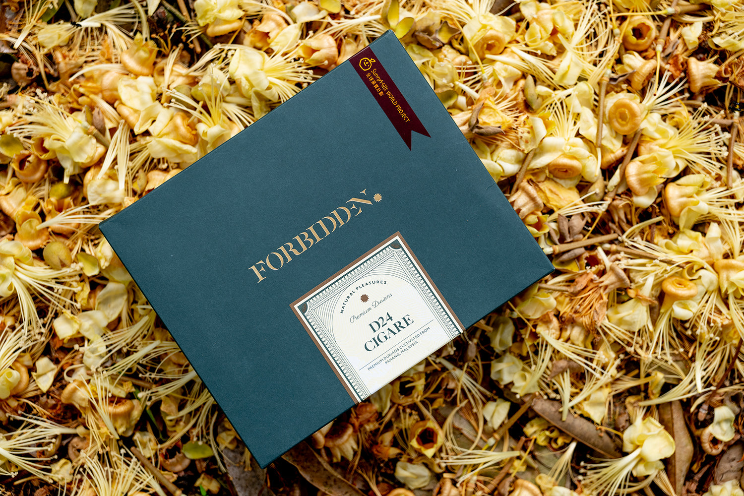 The Best Secret Santa Gifts to Impress your Colleagues & Friends this coming Christmas.
