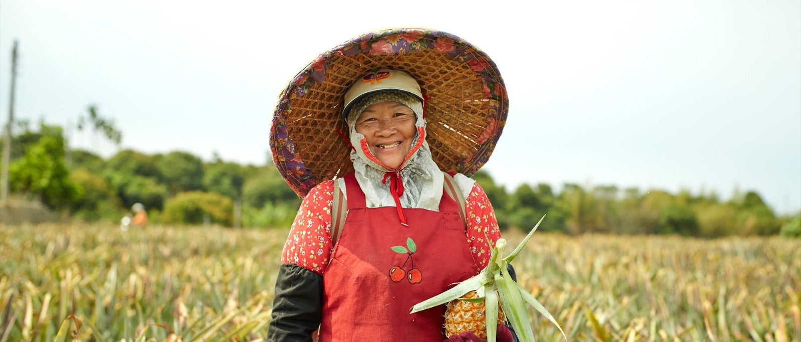 sunnyhills pineapple farmer