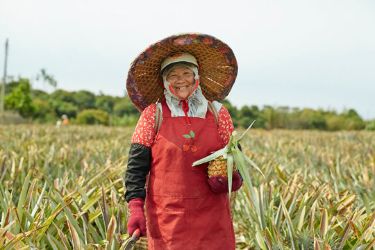 pineapple farmer